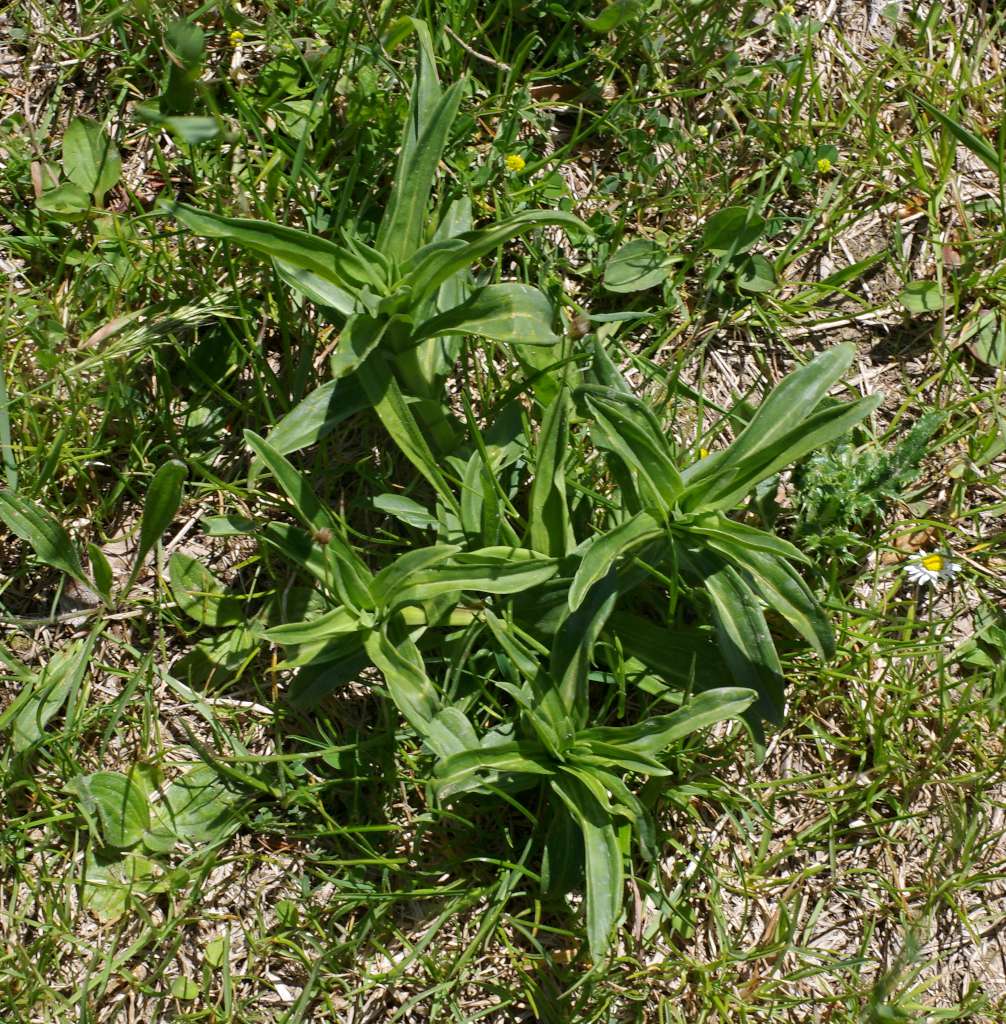 IMGP7533-1024.jpg