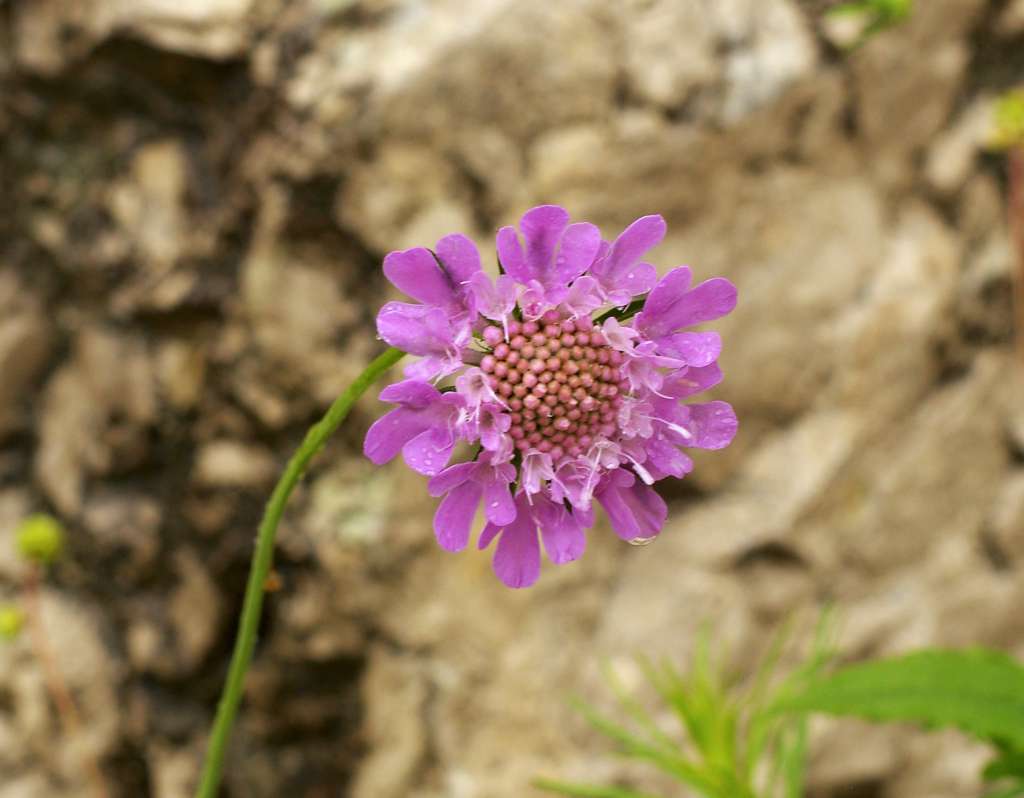 IMGP7614-1024.jpg