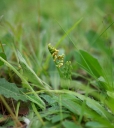 Název souboru=IMGP8084-1024.jpg
Velikost souboru=61KB
Rozměry=913x1024
Datum přidání=16. Srpen 2026 IMGP8084-1024.jpg