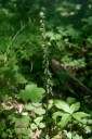 Název souboru=IMGP9030-1024.jpg
Velikost souboru=62KB
Rozměry=680x1024
Datum přidání=16. Srpen 2026 IMGP9030-1024.jpg