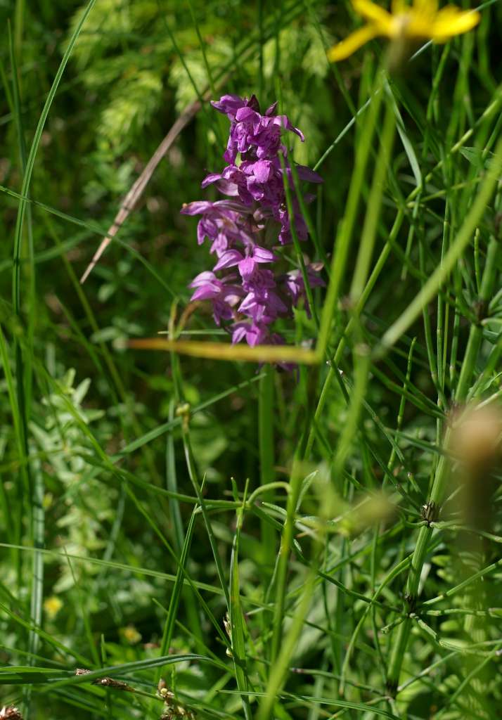 IMGP9061-1024~4.jpg
