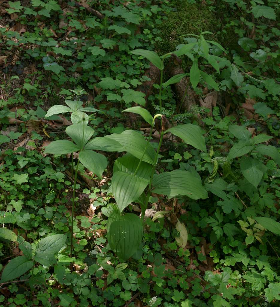 IMGP9127-1024~4.jpg