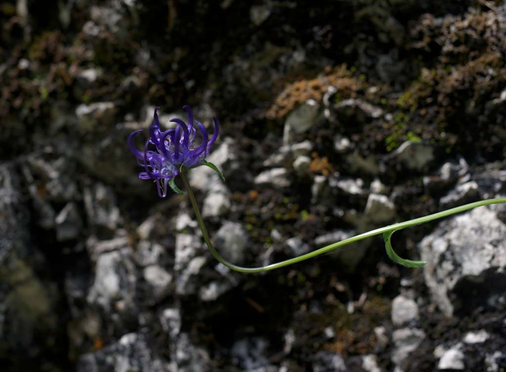 IMGP9206-1024~4.jpg
