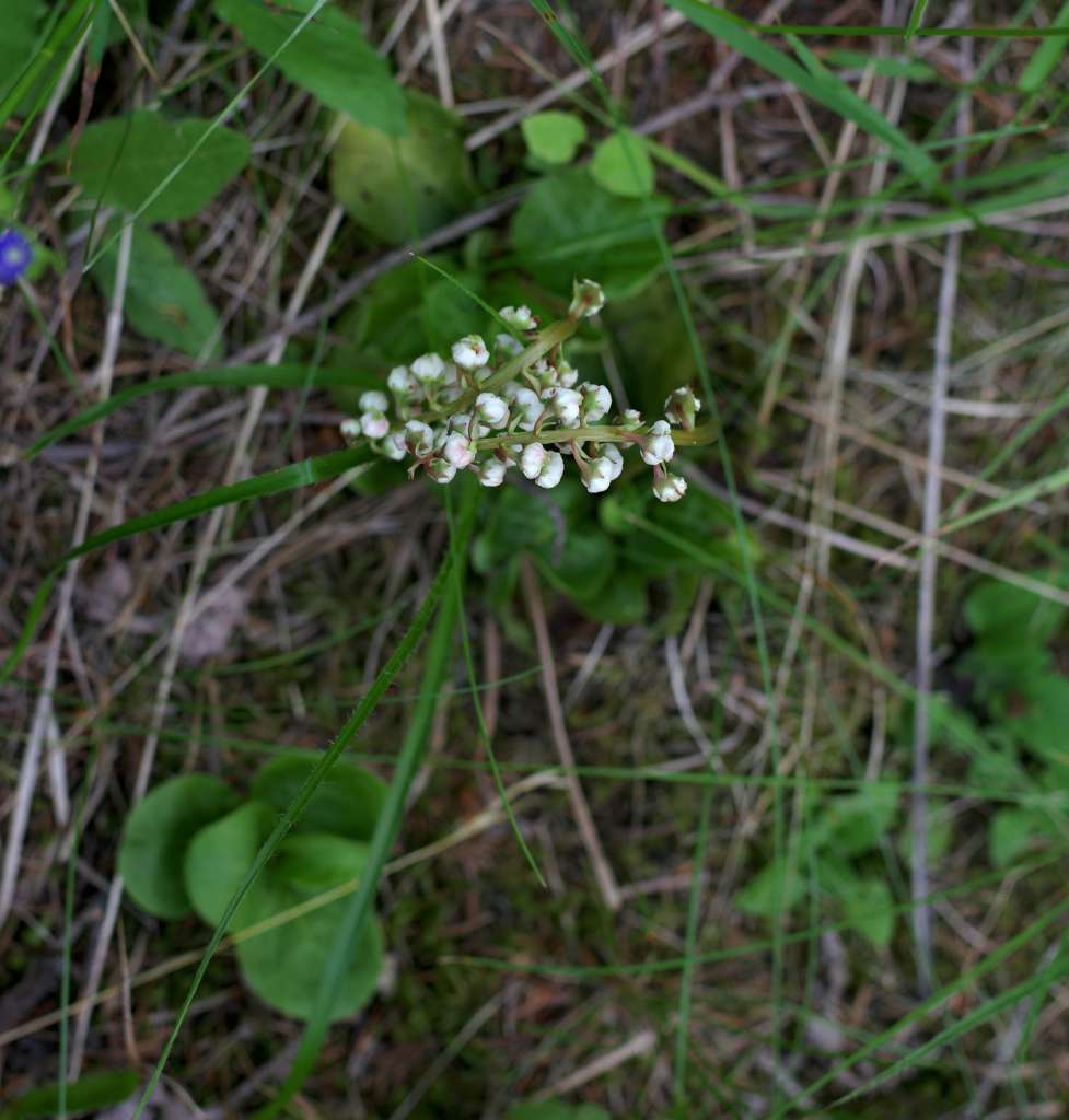 IMGP9415-1024~3.jpg