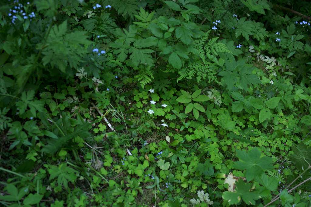 IMGP9444-1024~0.jpg