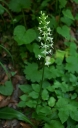 Název souboru=IMGP9123-1024~4.jpg
Velikost souboru=43KB
Rozměry=625x1024
Datum přidání=16. Srpen 2026 IMGP9123-1024~4.jpg