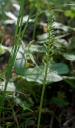 IMGP9389-1024~3.jpg