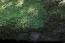IMGP9403-1024~3.jpg