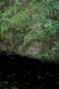 IMGP9404-1024~3.jpg