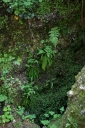 IMGP9407-1024~3.jpg