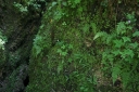 IMGP9408-1024~3.jpg