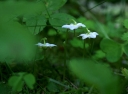 IMGP9440-1024~1.jpg