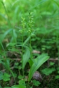 IMGP9447-1024~0.jpg