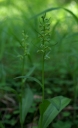 IMGP9455-1024~0.jpg
