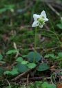IMGP9460-1024~0.jpg
