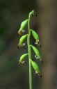 IMGP9470-1024~0.jpg
