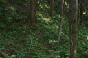 IMGP9477-1024~0.jpg