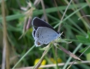 IMGP9552-1024.jpg