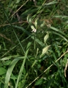 IMGP9584-1024.jpg