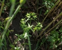 IMGP9591-1024.jpg