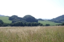 IMGP9592-1024.jpg