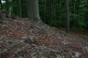 IMGP9647-1024.jpg