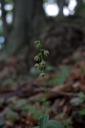 IMGP9649-1024.jpg