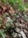 IMGP9658-1024.jpg