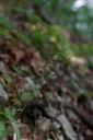 IMGP9659-1024.jpg