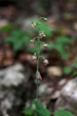 IMGP9662-1024.jpg