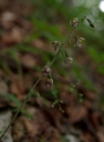 IMGP9667-1024.jpg
