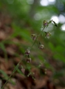 IMGP9668-1024.jpg