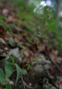 IMGP9670-1024.jpg