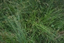 IMGP9691-1024.jpg