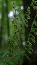 IMGP9713-1024.jpg