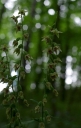IMGP9715-1024.jpg