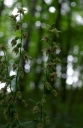 IMGP9716-1024.jpg
