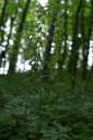 IMGP9717-1024.jpg