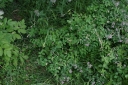 IMGP9728-1024.jpg