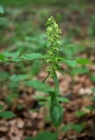 IMGP9767-1024.jpg