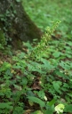 IMGP9771-1024.jpg