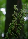 IMGP9773-1024.jpg