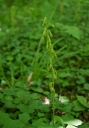 IMGP9791-1024.jpg