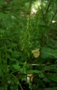 IMGP9801-1024.jpg