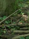 IMGP9821-1024.jpg