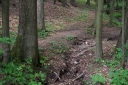 IMGP9849-1024.jpg