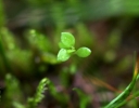 IMGP9857-1024.jpg