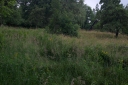 IMGP9862-1024.jpg
