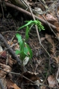 IMGP9880-1024.jpg