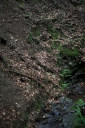 IMGP9882-1024.jpg